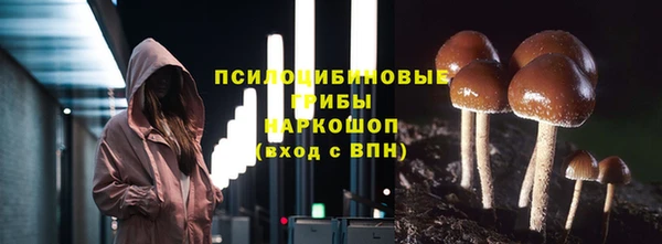 герыч Арсеньев
