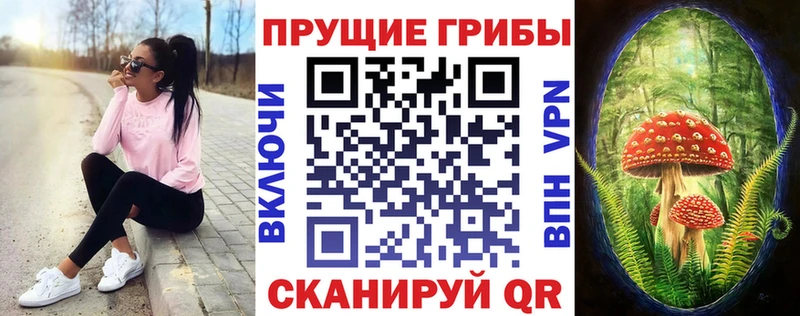 Галлюциногенные грибы MAGIC MUSHROOMS МЕГА зеркало Багратионовск